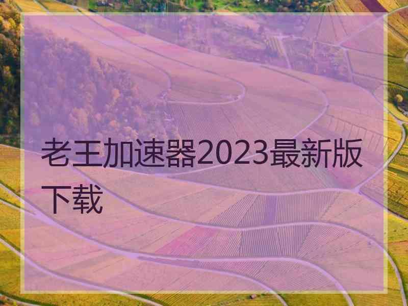 老王加速器2023最新版下载