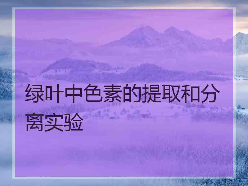 绿叶中色素的提取和分离实验