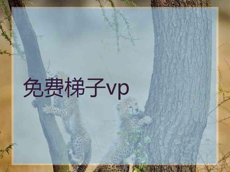 免费梯子vp