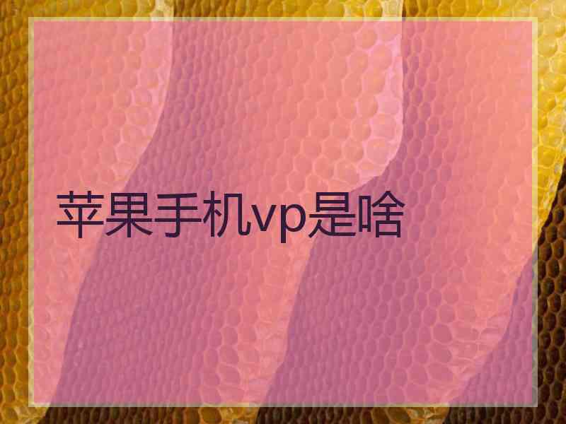 苹果手机vp是啥