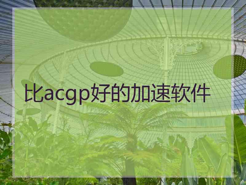 比acgp好的加速软件