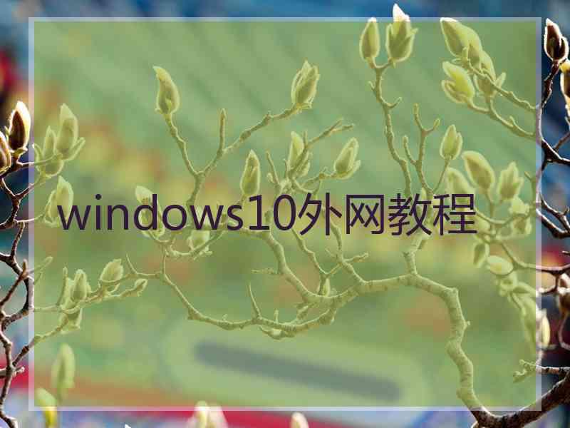 windows10外网教程