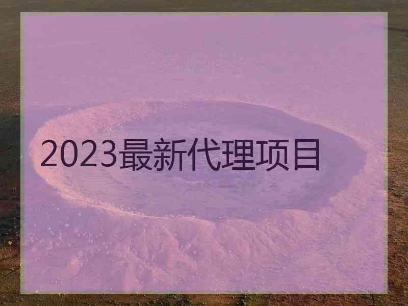 2023最新代理项目