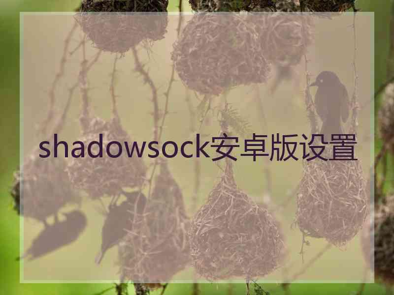 shadowsock安卓版设置