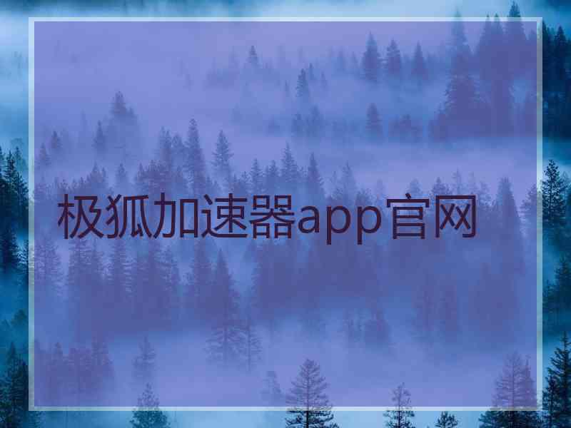 极狐加速器app官网