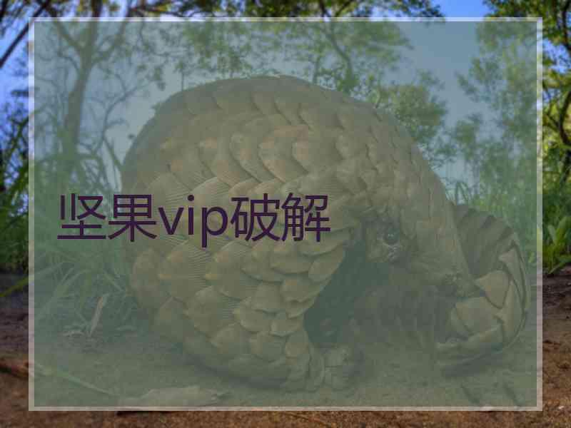 坚果vip破解