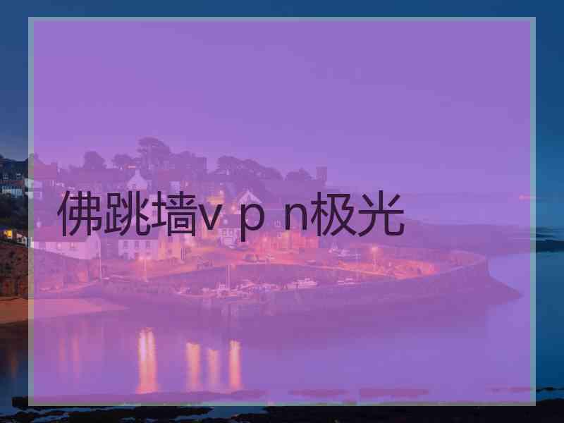 佛跳墙v p n极光