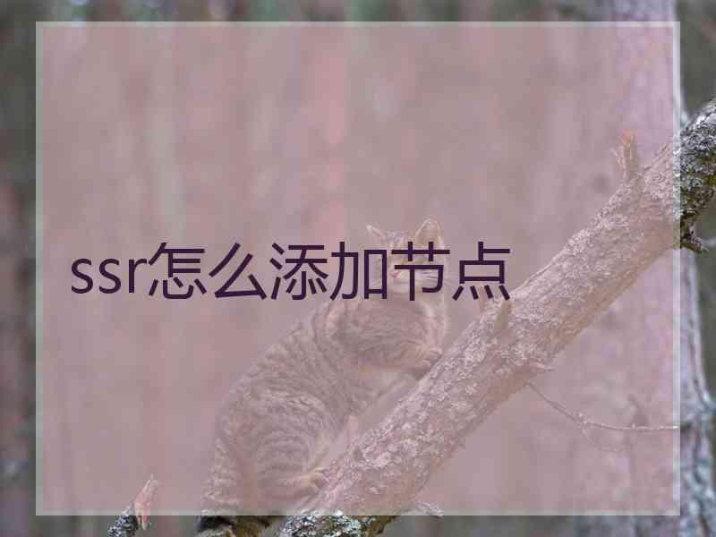 ssr怎么添加节点