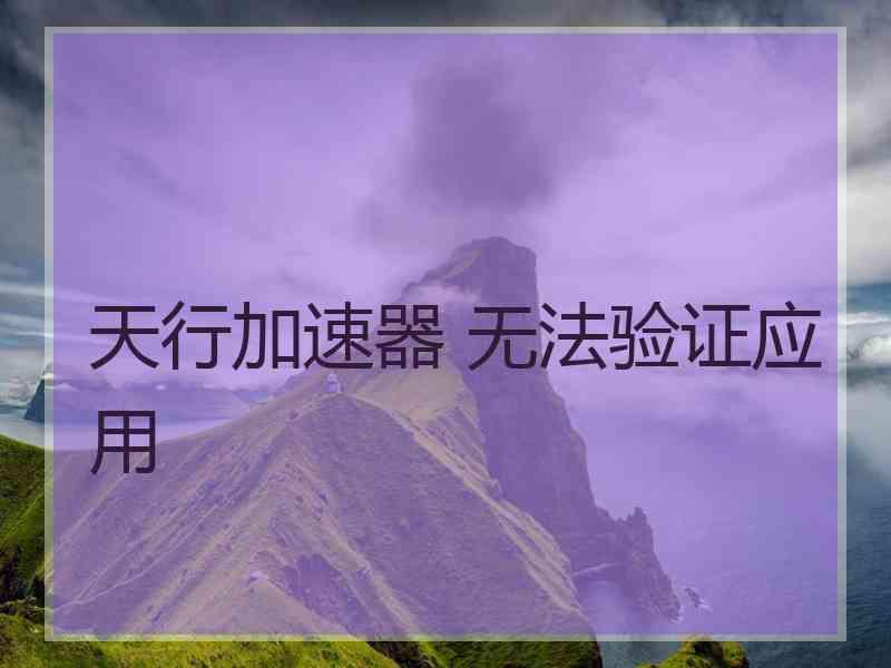 天行加速器 无法验证应用