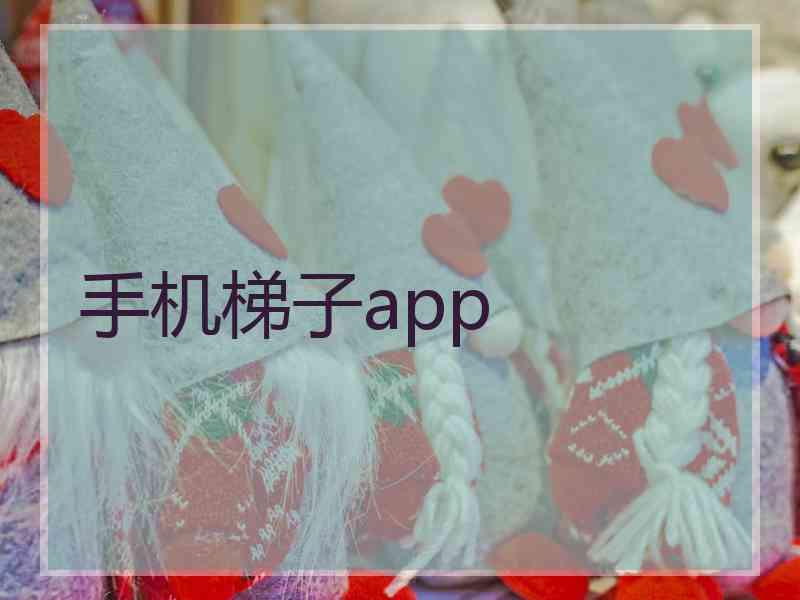 手机梯子app