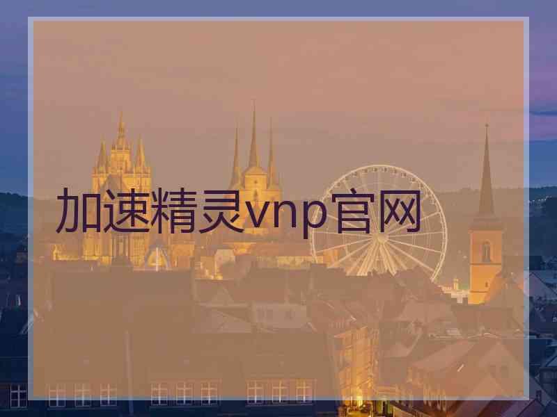 加速精灵vnp官网