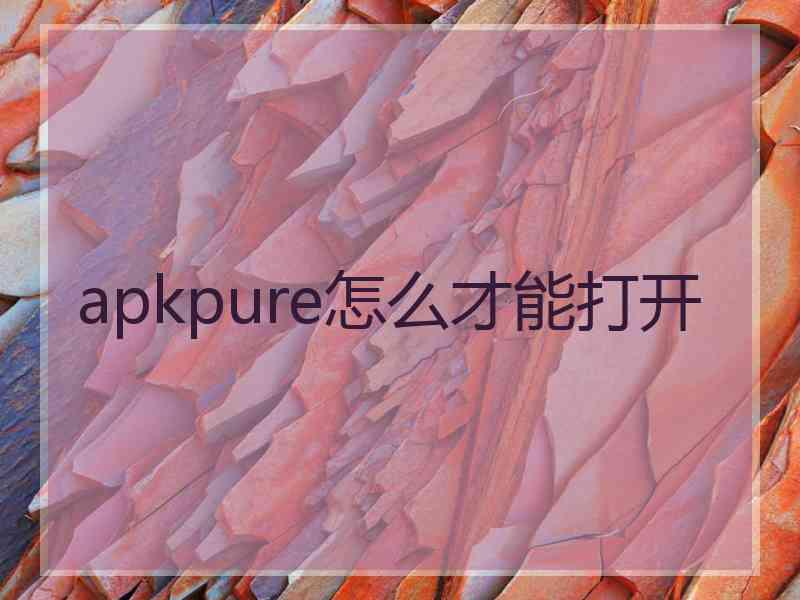 apkpure怎么才能打开