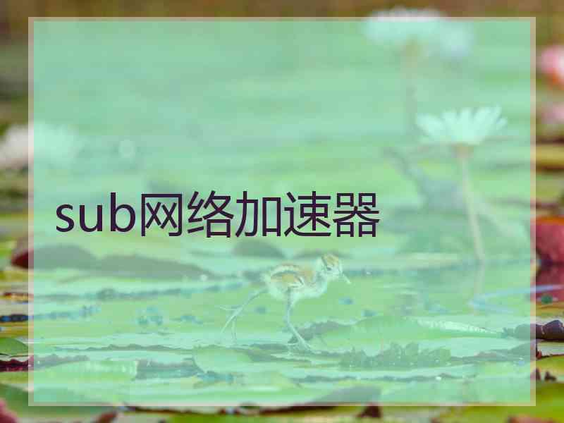 sub网络加速器