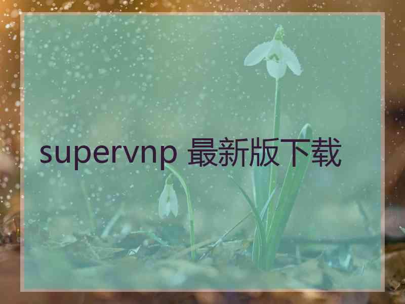 supervnp 最新版下载