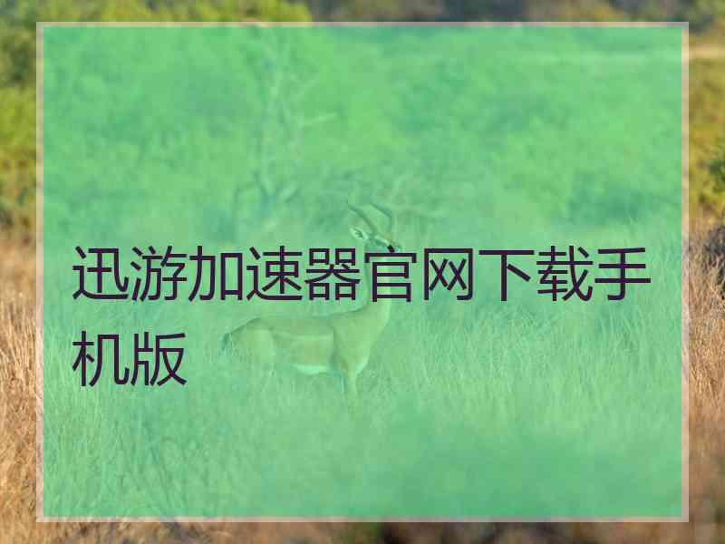 迅游加速器官网下载手机版