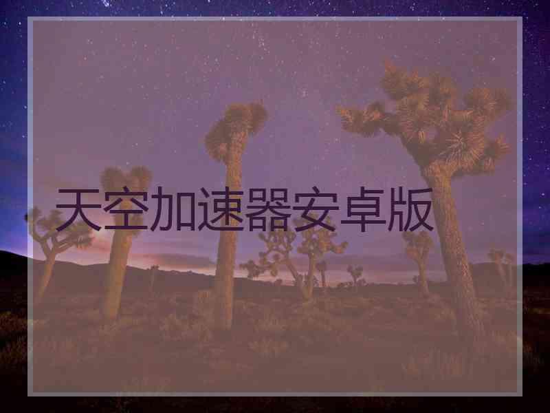 天空加速器安卓版