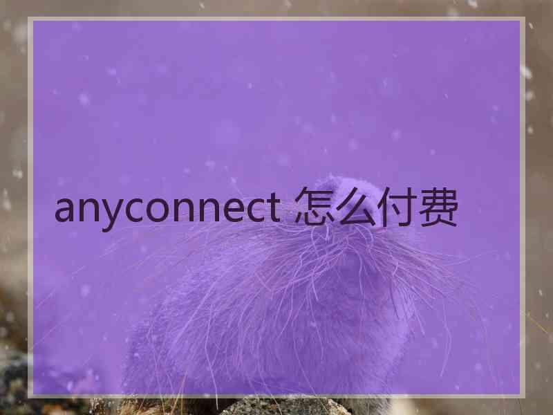 anyconnect 怎么付费