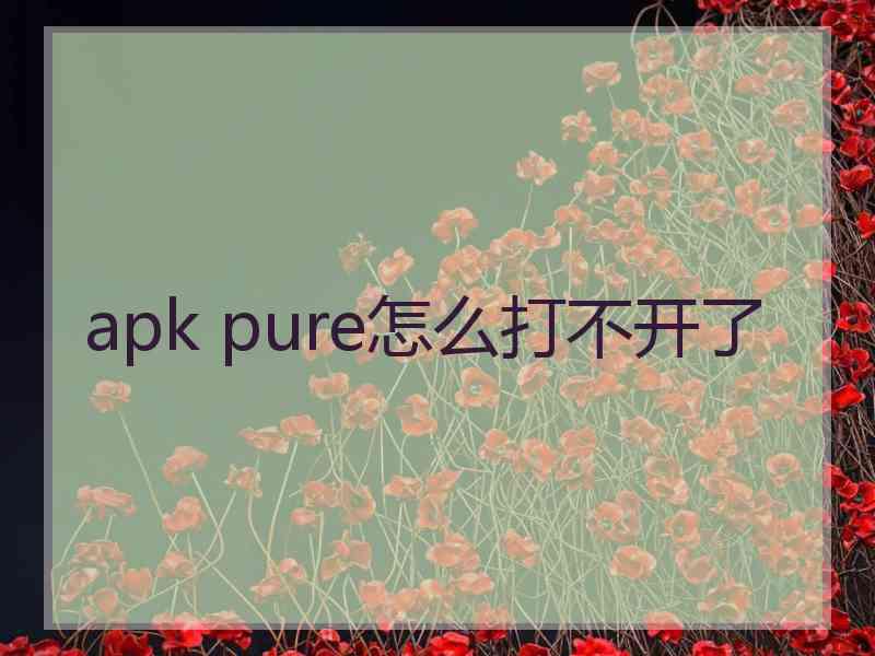 apk pure怎么打不开了