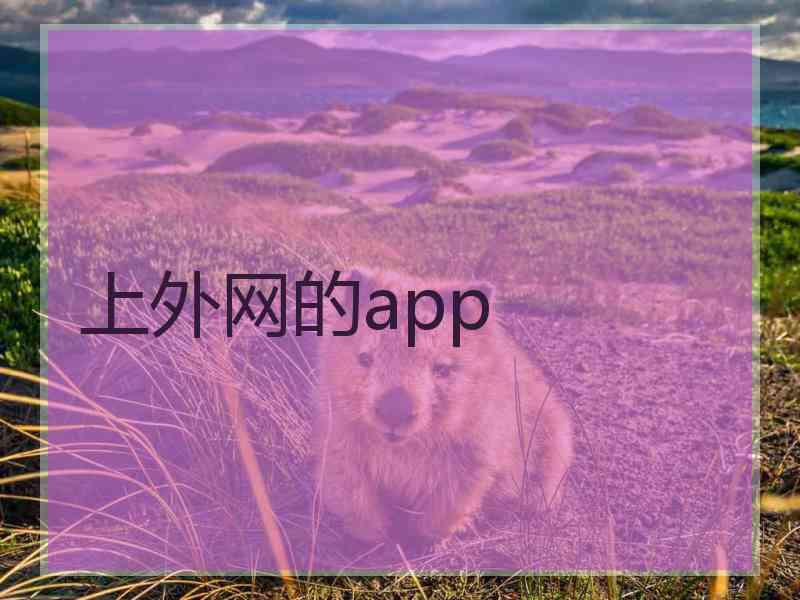 上外网的app