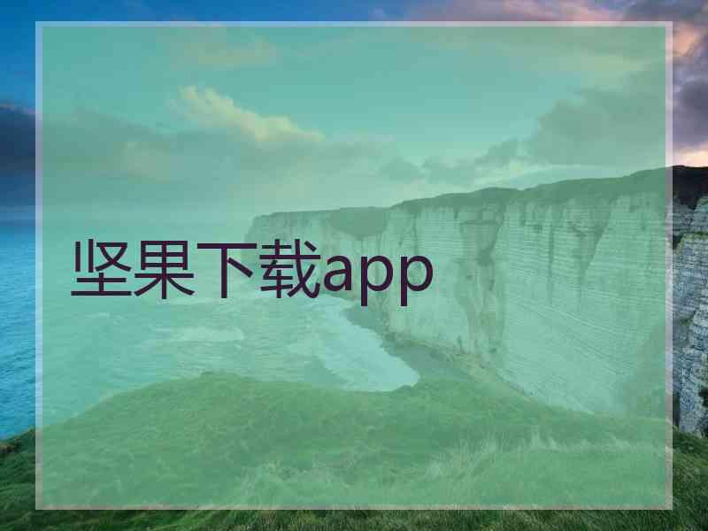 坚果下载app