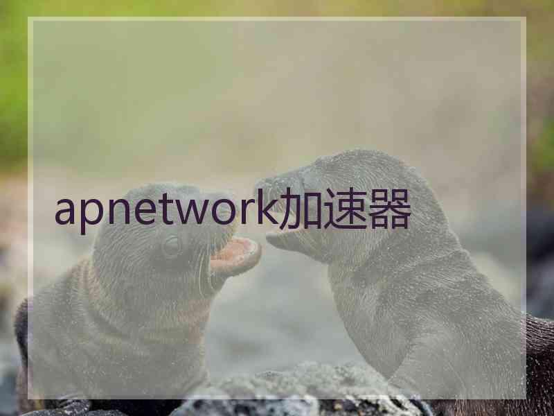 apnetwork加速器