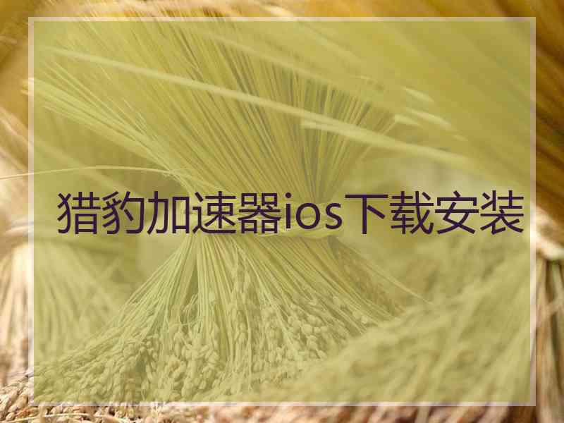 猎豹加速器ios下载安装