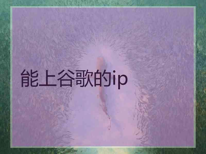 能上谷歌的ip