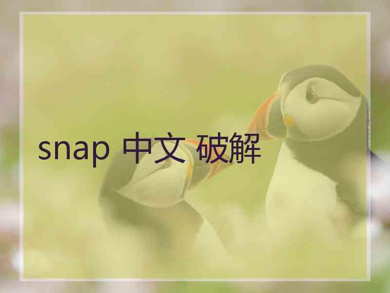 snap 中文 破解