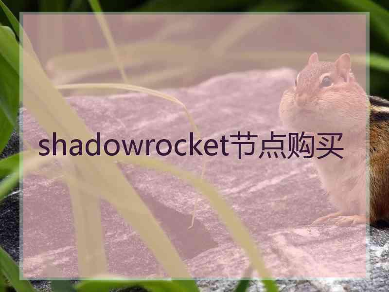 shadowrocket节点购买