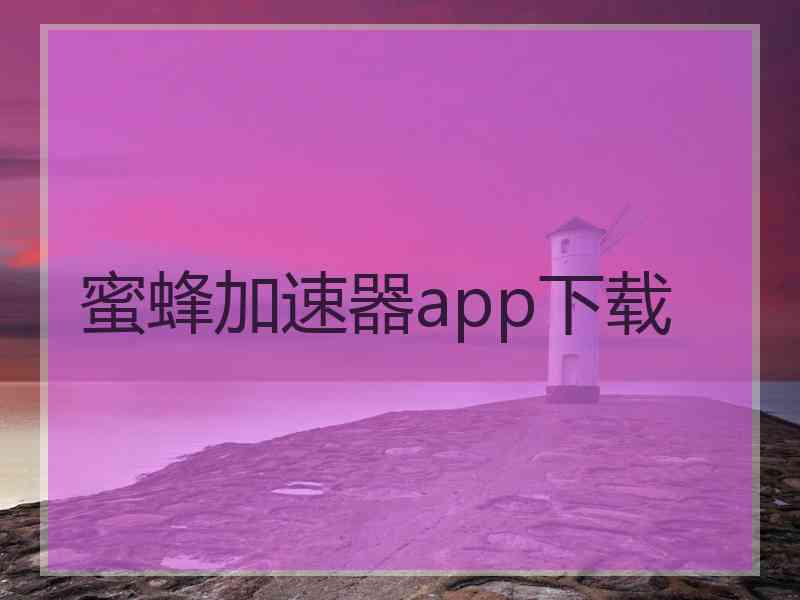 蜜蜂加速器app下载