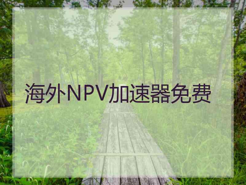 海外NPV加速器免费