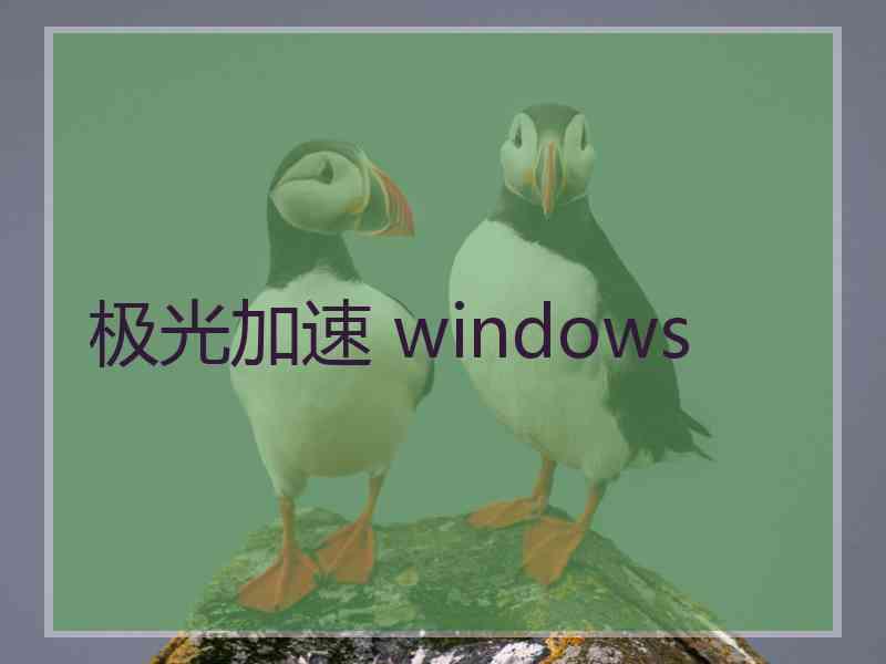 极光加速 windows