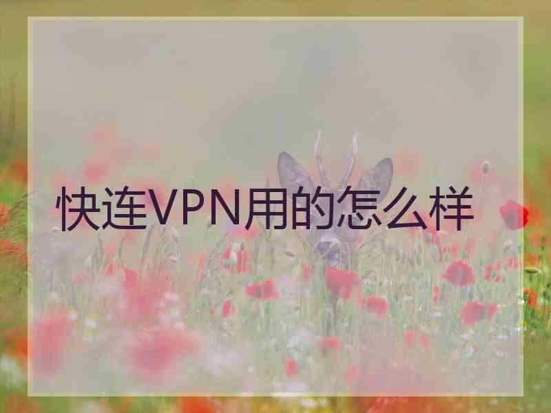 快连VPN用的怎么样