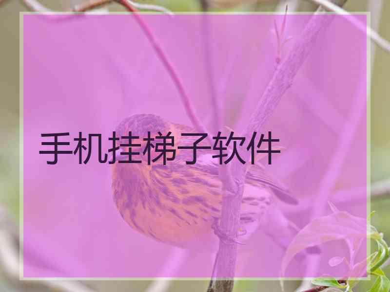 手机挂梯子软件