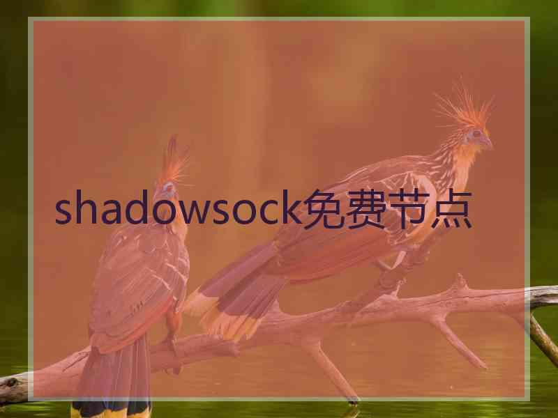 shadowsock免费节点