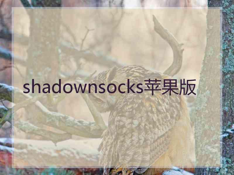 shadownsocks苹果版