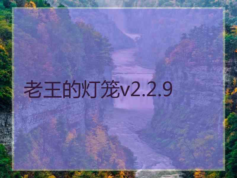 老王的灯笼v2.2.9