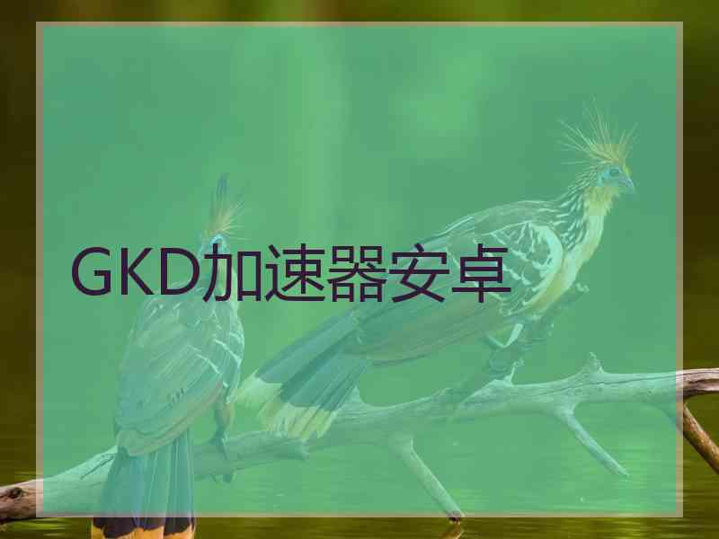 GKD加速器安卓