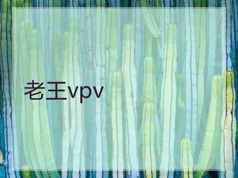 老王vpv