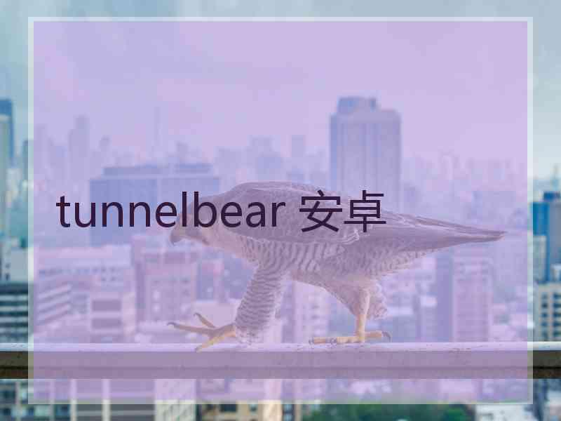 tunnelbear 安卓