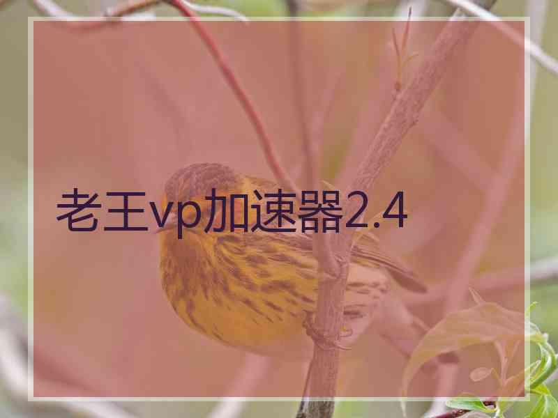 老王vp加速器2.4