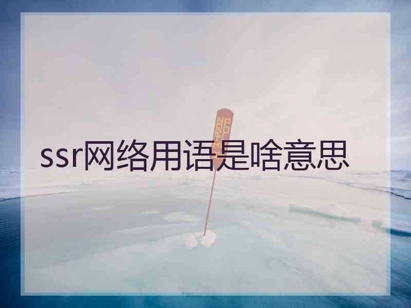 ssr网络用语是啥意思