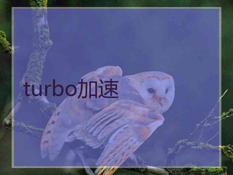 turbo加速