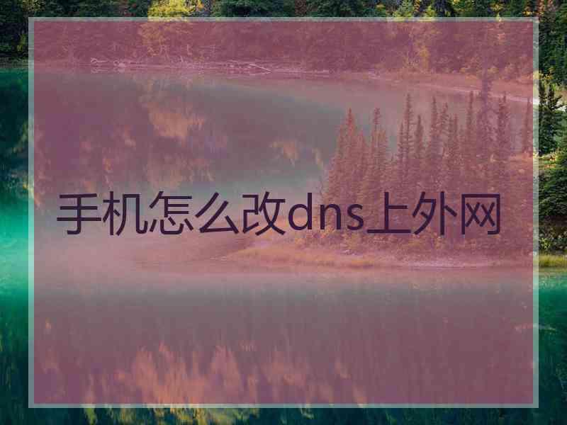 手机怎么改dns上外网