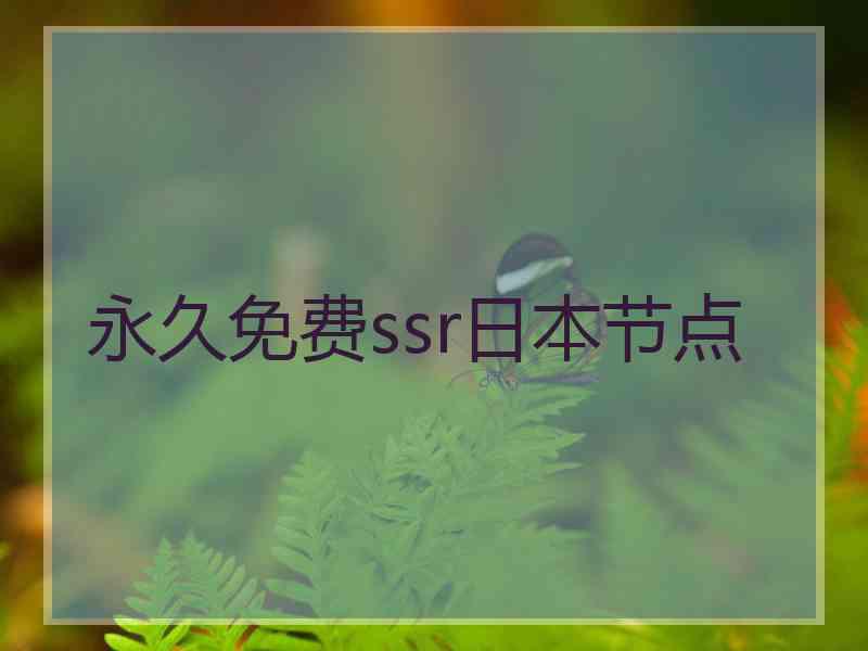 永久免费ssr日本节点