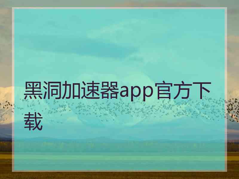 黑洞加速器app官方下载