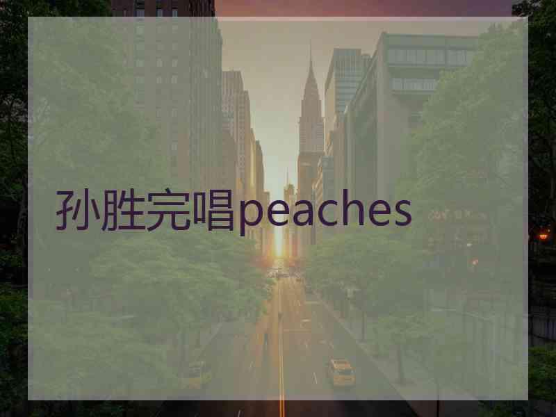 孙胜完唱peaches