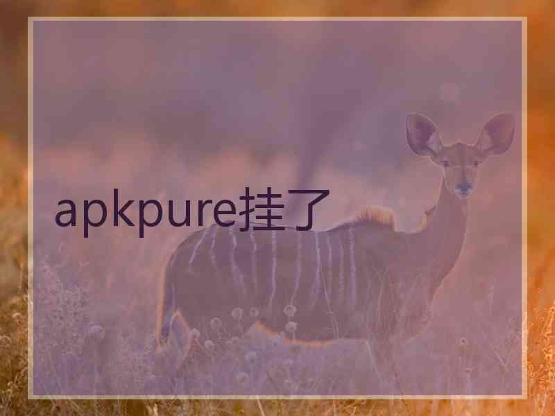 apkpure挂了