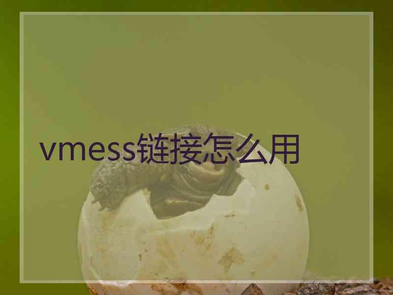 vmess链接怎么用