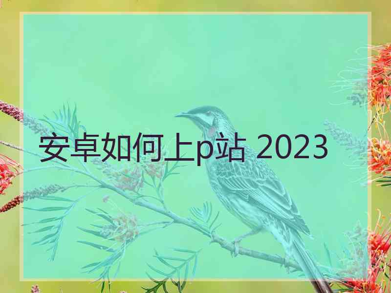 安卓如何上p站 2023